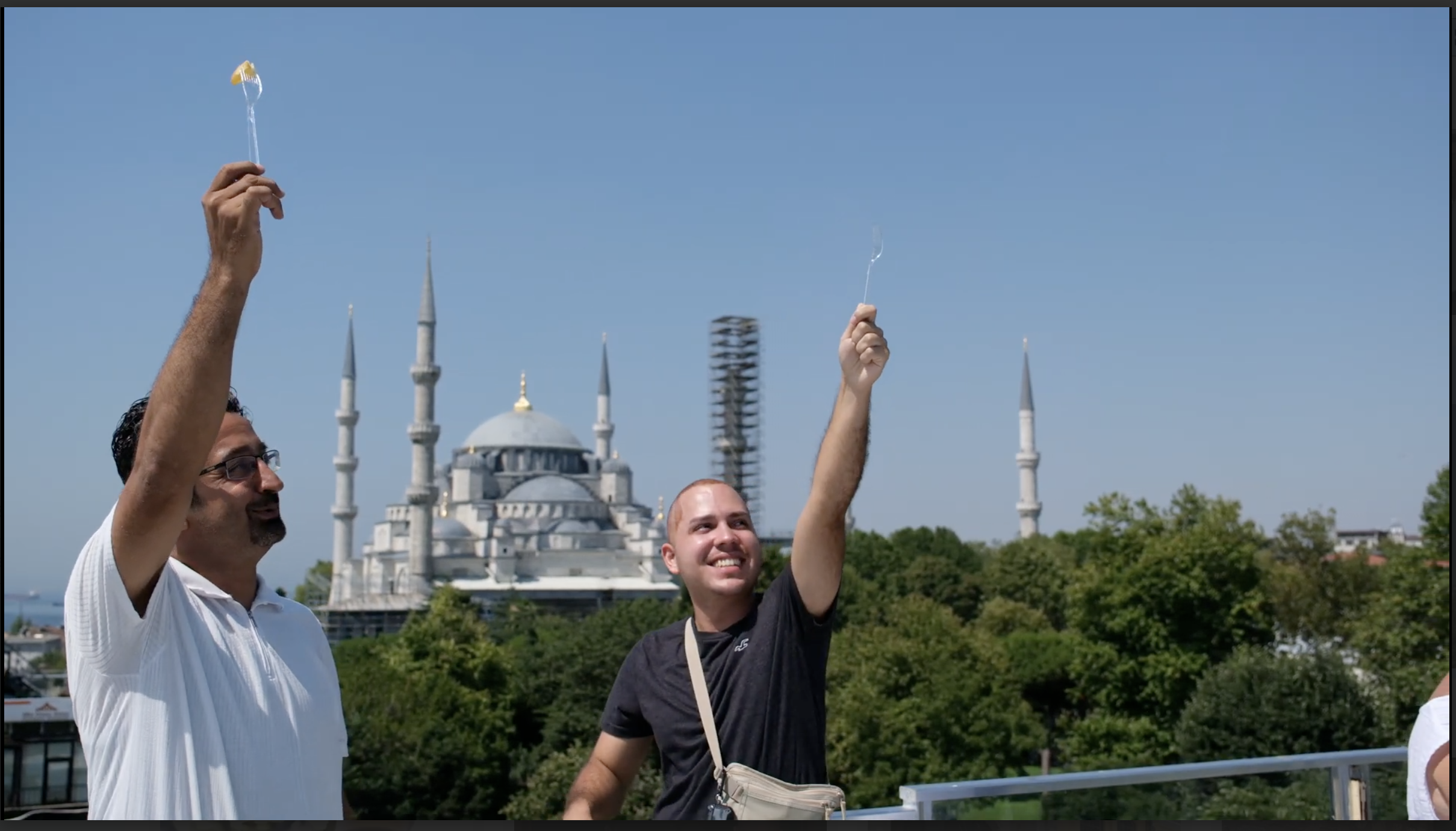 VIP Luxury Hair Transplant in Istanbul 6 Screenshot 2025 07 27 at 4.36.32 AM