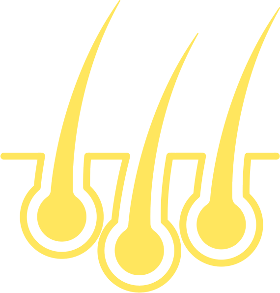 VIP Luxury Hair Transplant in Istanbul 13 hair density icon