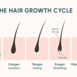 7 Best Tips to Grow Your Hair Faster
