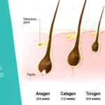 Treatments That Extend The hair growth cycle