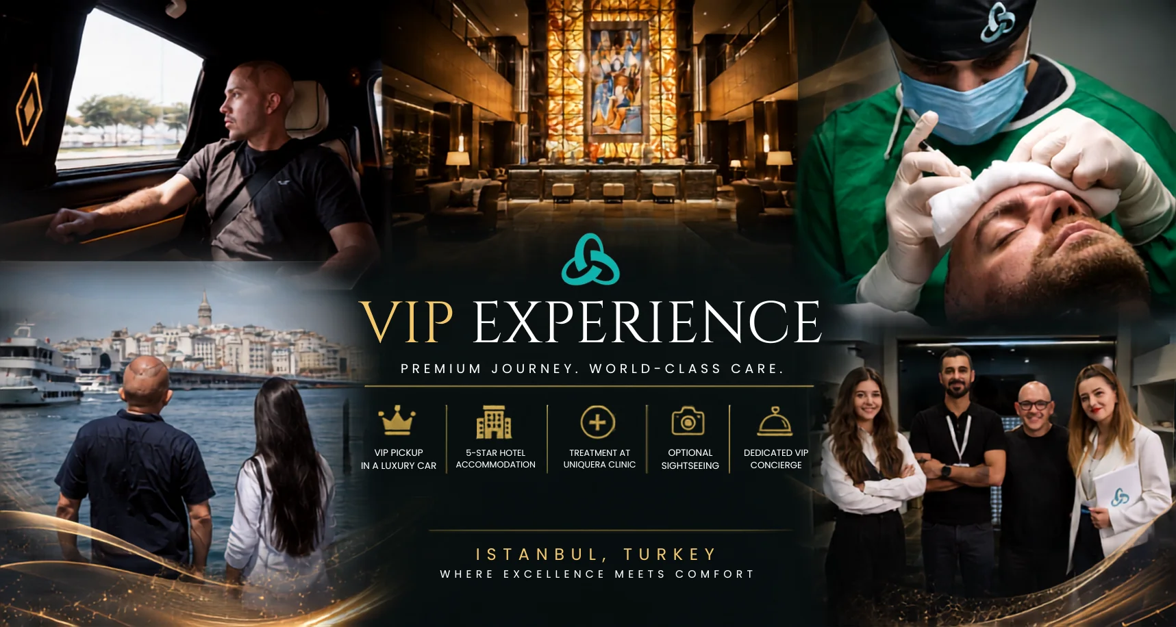 vipsection